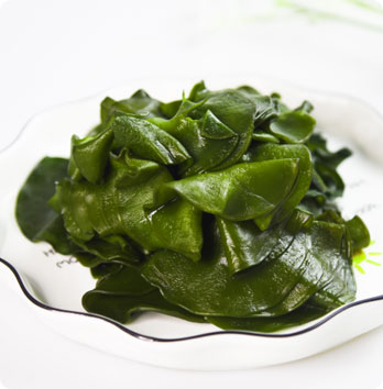 ad851d869c56bd6a5bd843e4b40fdea8