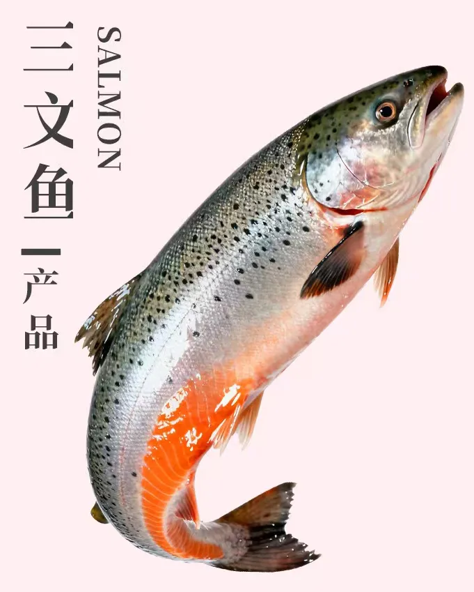 中国·ca888亚洲城(股份有限公司)-Mobile Website