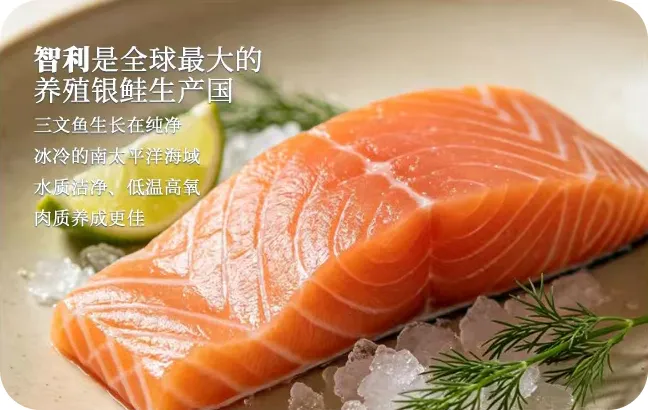 26b3d4544c2e49937d3d7305aefcc5c2 中国·ca888亚洲城(股份有限公司)-Mobile Website